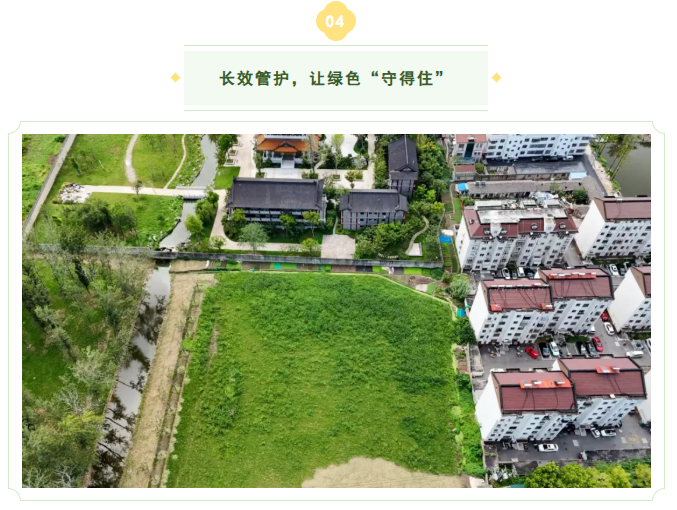 国企担当治荒貌,闲置地块焕新绿 4