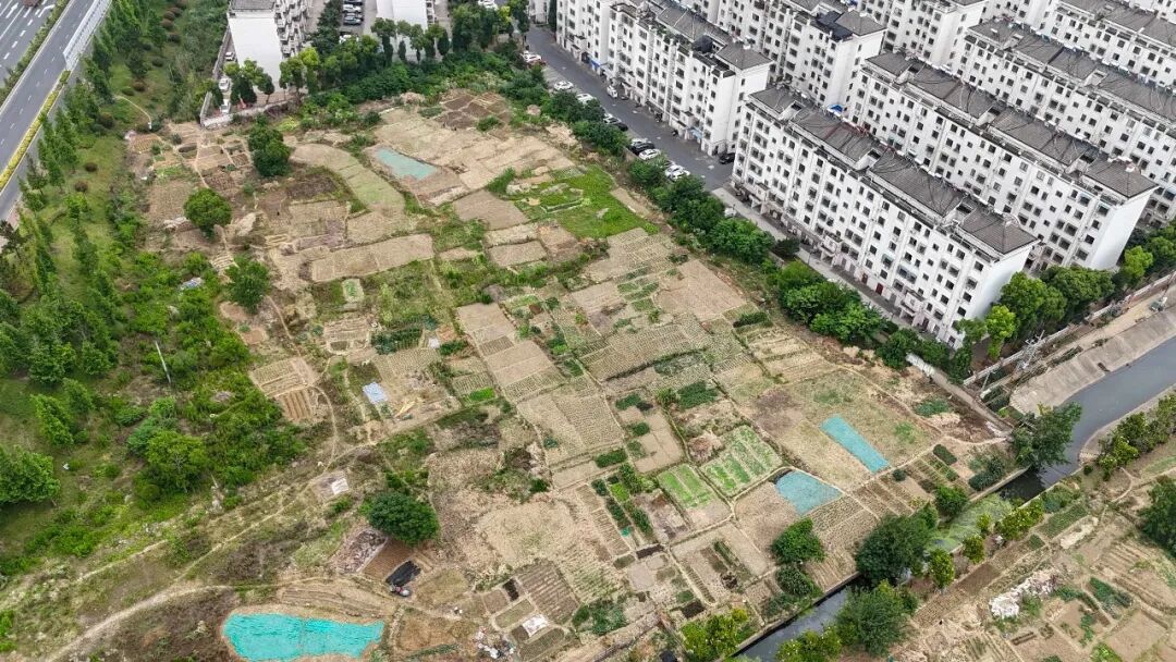 国企担当治荒貌,闲置地块焕新绿