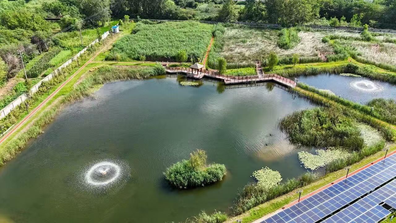 扬州青山污水处理厂生态安全缓冲区建设工程
