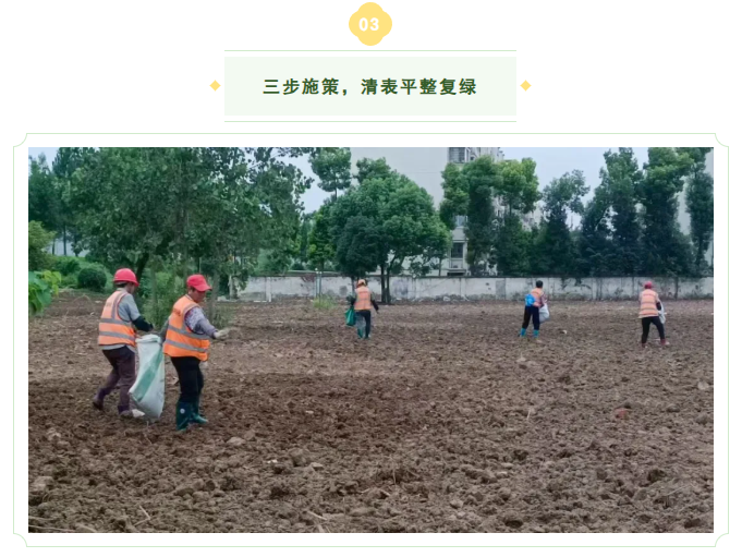 国企担当治荒貌,闲置地块焕新绿 3