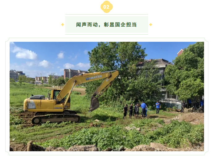 国企担当治荒貌,闲置地块焕新绿 2